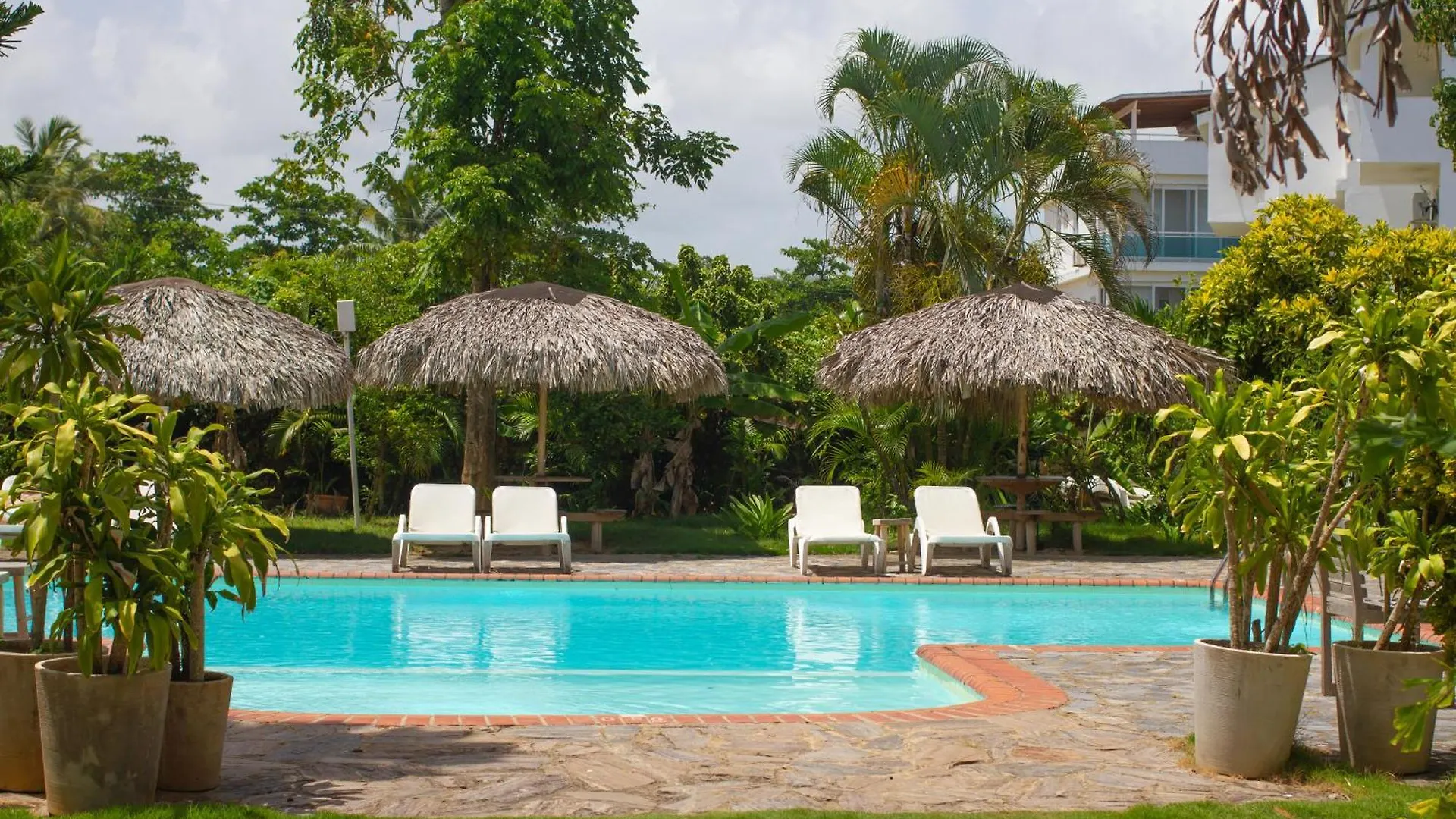 Afreeka Beach Hotel Las Terrenas Dominican Republic
